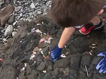 Niños de primaria aprenden a mantener limpio el entorno Niños de primaria aprenden a mantener limpio el entorno