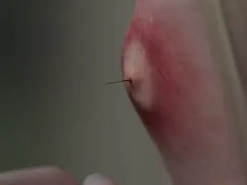 'Scary Stories to Tell in the Dark' 'Scary Stories to Tell in the Dark'