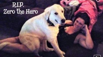 'Zero' el perro que murió en un tiroteo por salvar a sus dueños