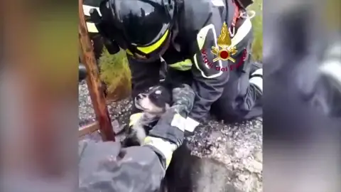 El impresionante rescate de un cachorro en un pozo en Palermo El impresionante rescate de un cachorro en un pozo en Palermo