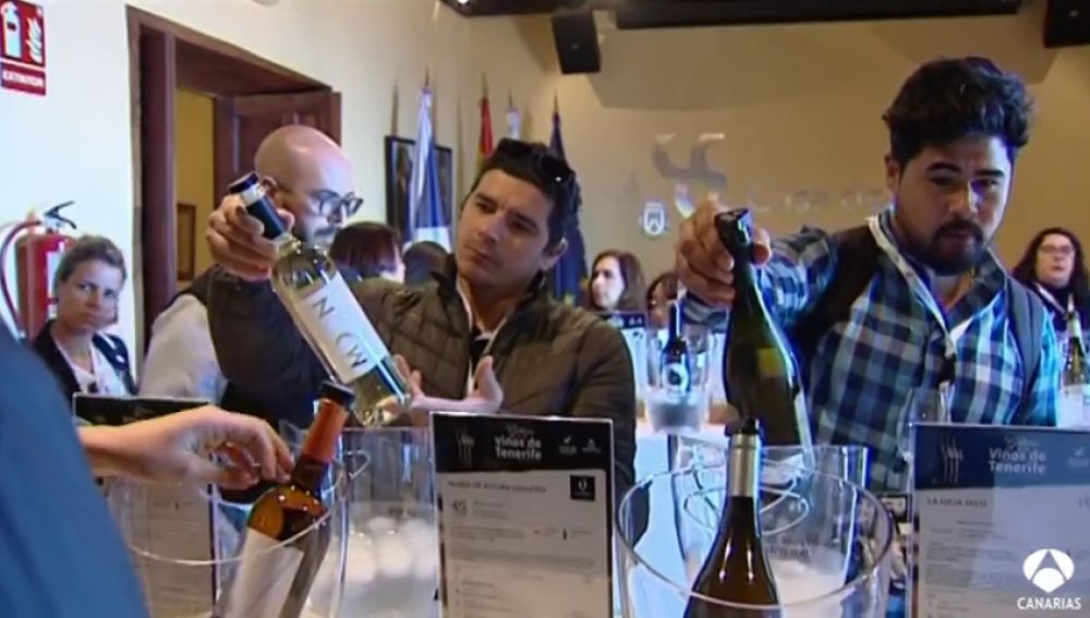 36 bodegas de Tenerife participan en la Galería de los Vinos
