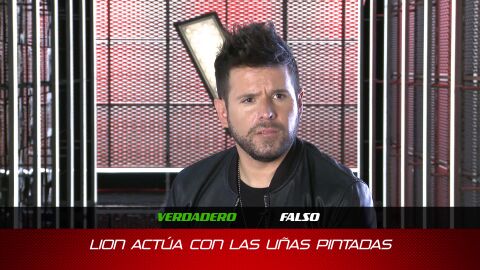 EL TEST DE LOS COACHES
