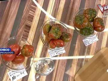 Los productores denuncian el fraude: ¿Es tomate 'Raf' todo lo que reluce, o hay engaño? Los productores denuncian el fraude: ¿Es tomate 'Raf' todo lo que reluce, o hay engaño?
