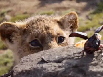 Simba en el remake de 'El Rey León' Simba en el remake de 'El Rey León'