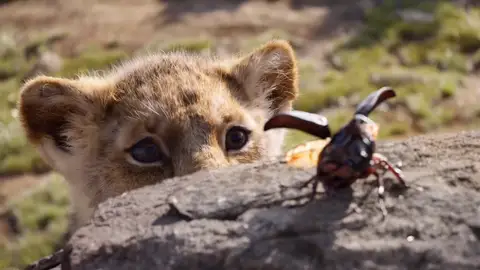 Simba en el remake de 'El Rey León' Simba en el remake de 'El Rey León'