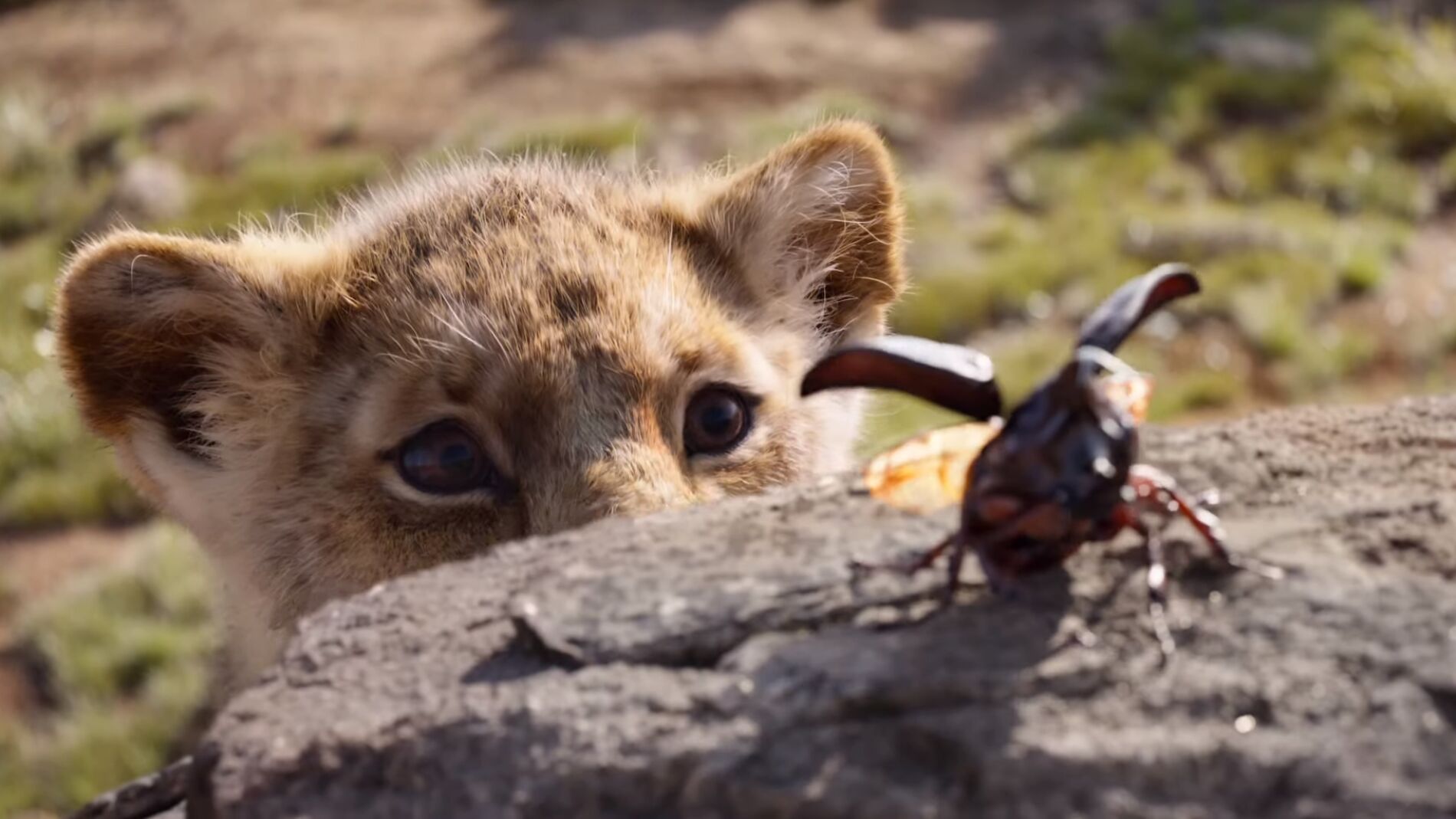 Simba en el remake de 'El Rey León'