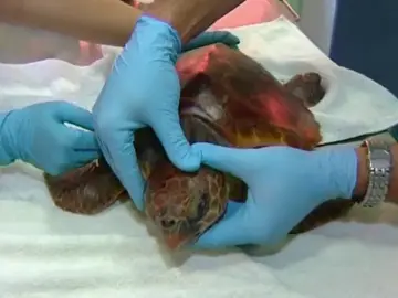 Héroes que trabajan para recuperar el daño que deja el plástico Héroes que trabajan para recuperar el daño que deja el plástico