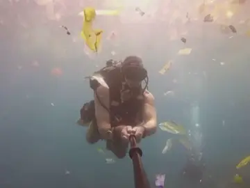 Las alternativas al plástico están a nuestro alcance Las alternativas al plástico están a nuestro alcance