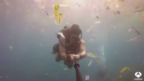 Las alternativas al plástico están a nuestro alcance Las alternativas al plástico están a nuestro alcance