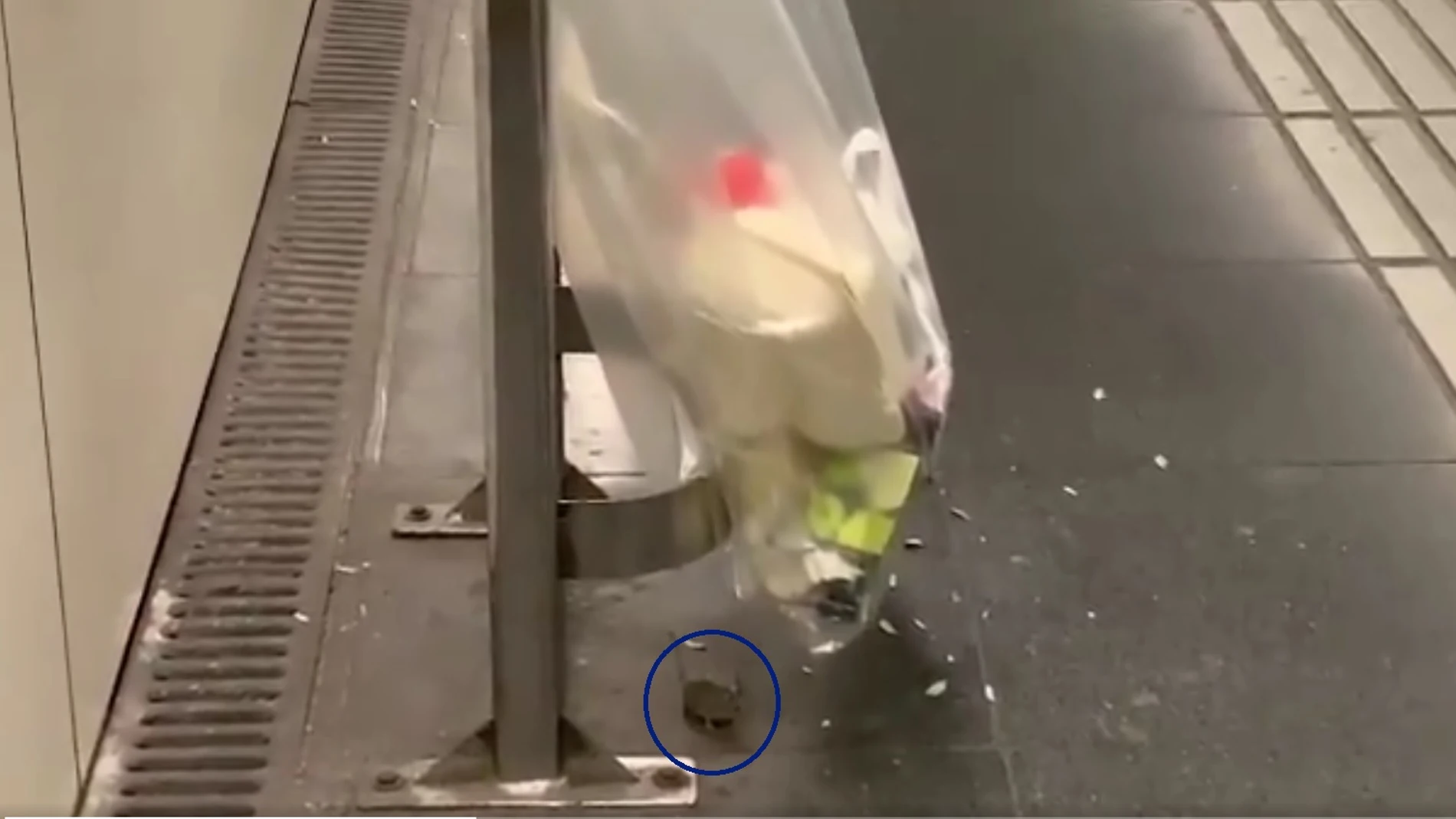 La rata del metro de Barcelona La rata del metro de Barcelona