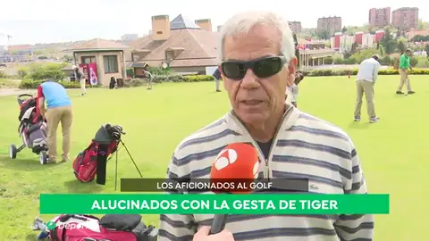 tiger_aficionados tiger_aficionados