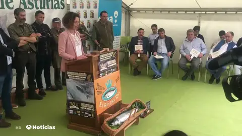 NUEVA SALMON NUEVA SALMON