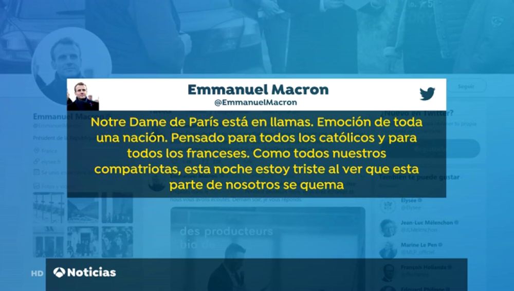 MACRON REACCIONES - REEMPLAZO