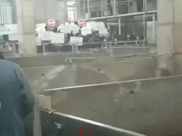 Un centenar de animalistas ocupan un matadero para tratar de evitar el sacrificio de animales Un centenar de animalistas ocupan un matadero para tratar de evitar el sacrificio de animales