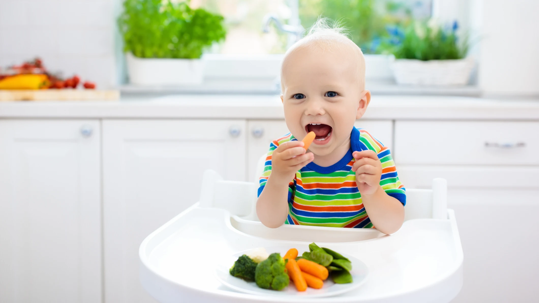 Bebé comiendo verduras Nova Life