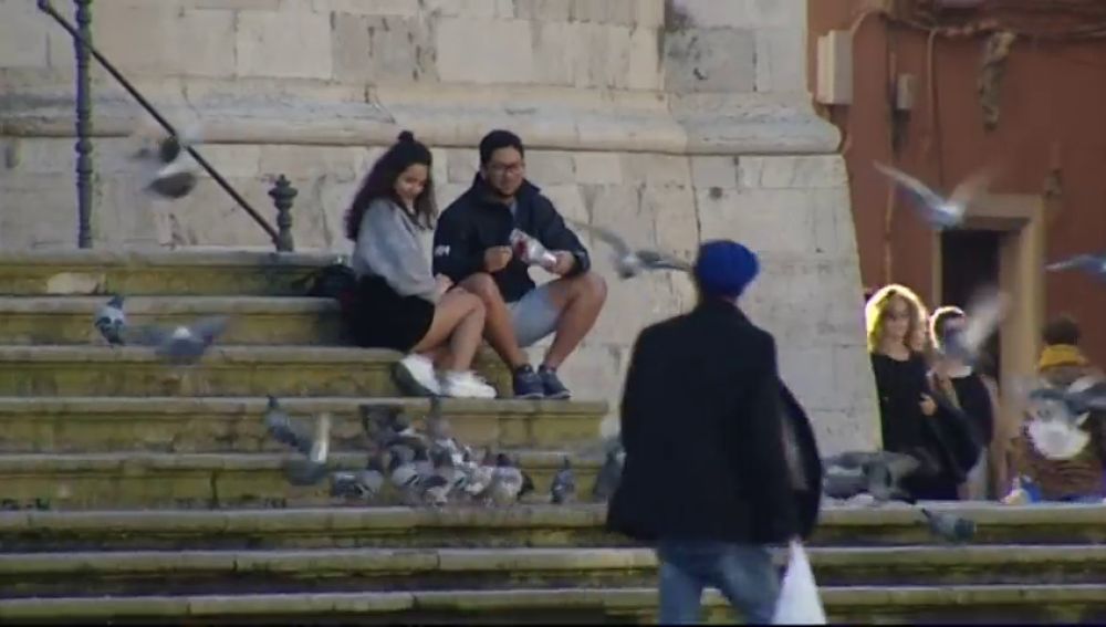 El Ayuntamiento de Cádiz pondrá en marcha unos dispensadores con pienso anticonceptivo para las palomas