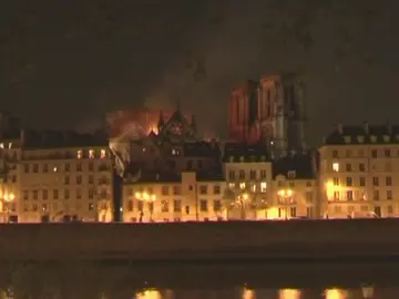 Jonathan, un canario en París que nos habla del incendio Jonathan, un canario en París que nos habla del incendio