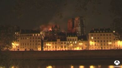 Jonathan, un canario en París que nos habla del incendio