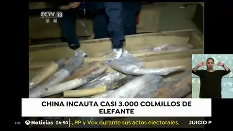 china tráfico animales china tráfico animales