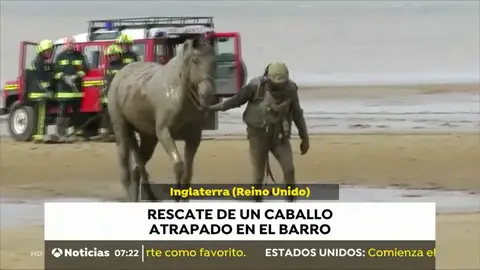 RESCATE CABALLO RESCATE CABALLO