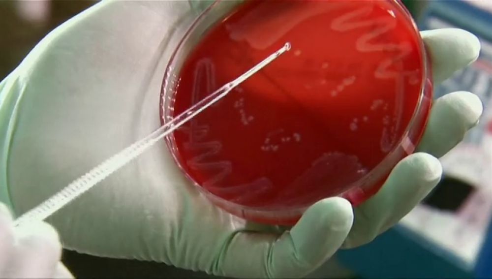 Investigadores españoles diseñan antibióticos que atacan solo las bacterias 'malas' y evitan resistencias