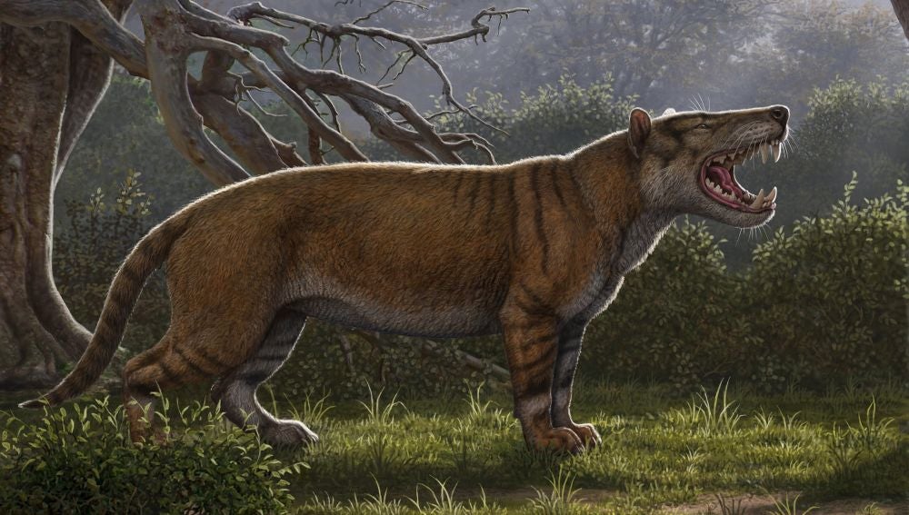 Identifican el fósil de un nuevo mamífero gigante, el "gran león africano"