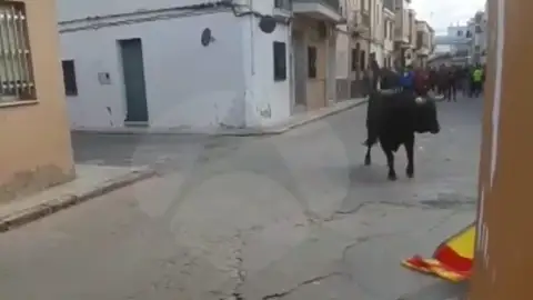 Muere un joven durante un festejo taurino en Xilxes Muere un joven durante un festejo taurino en Xilxes
