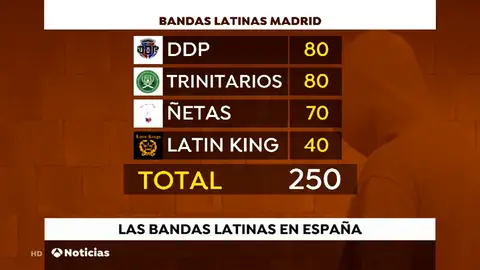 Bandas latinas Bandas latinas