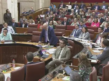 Andalucía en medio del fuego cruzado entre PP y Vox Andalucía en medio del fuego cruzado entre PP y Vox