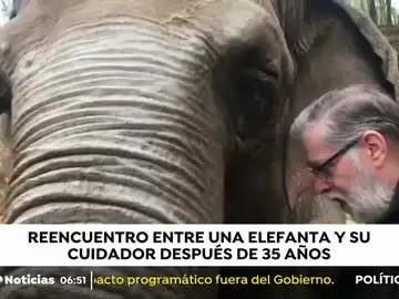 Reencuentro entre una elefanta y su cuidador Reencuentro entre una elefanta y su cuidador