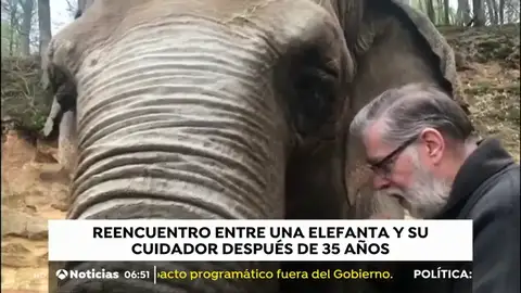 Reencuentro entre una elefanta y su cuidador Reencuentro entre una elefanta y su cuidador