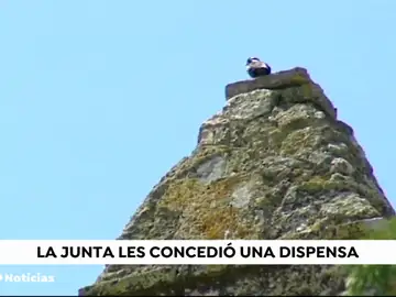 NUEVA CÃRDOBA NUEVA CÃRDOBA