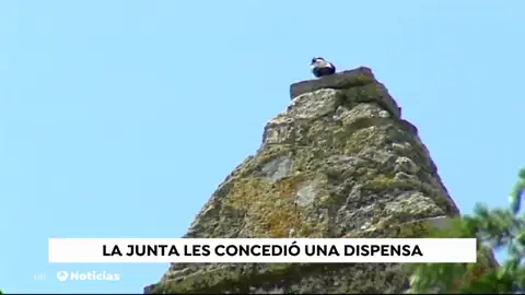 NUEVA CÃRDOBA NUEVA CÃRDOBA
