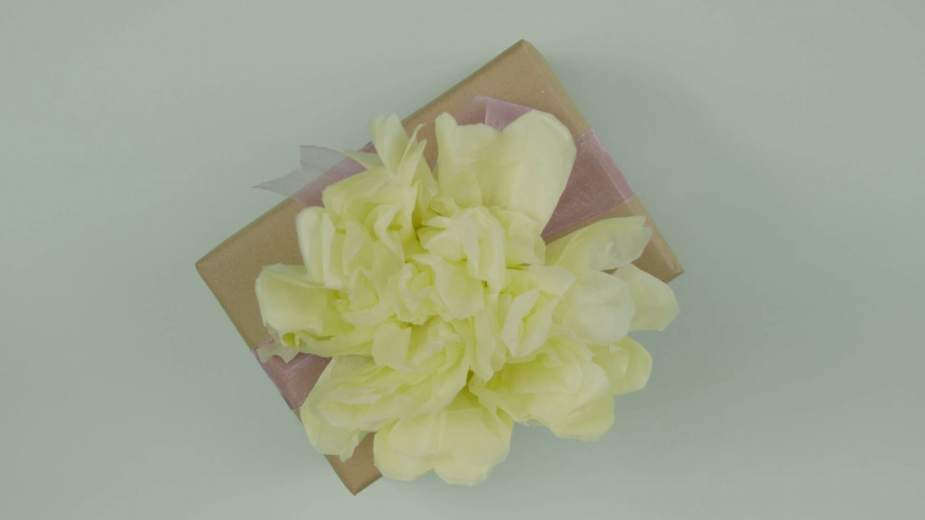 Lazos para envolver regalos