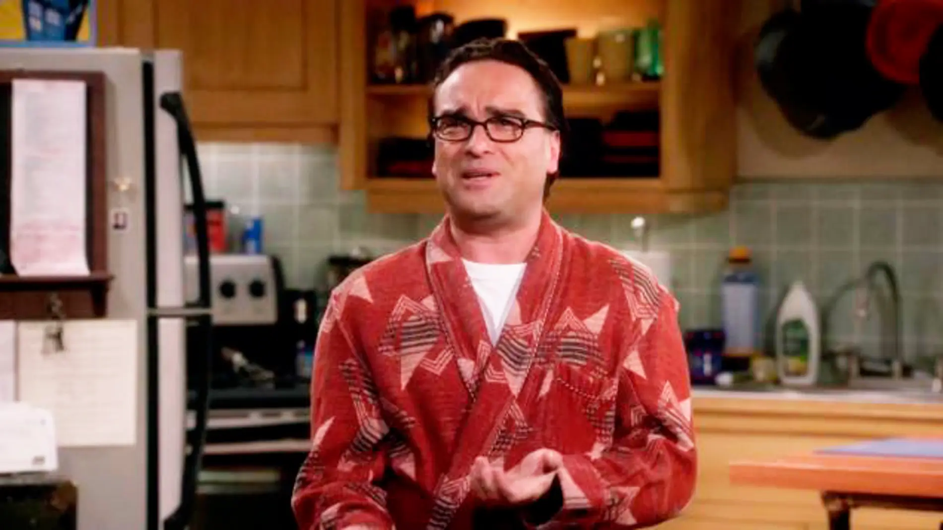 Johnny Galecki, Leonard en 'The Big Bang Theory'