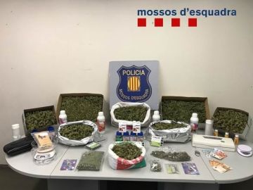Plantación de marihuana