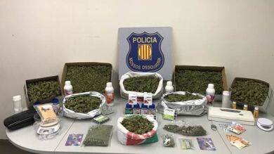Detienen a tres personas relacionadas con una plantación de marihuana que obtenían unos beneficios de 300.000 euros anuales