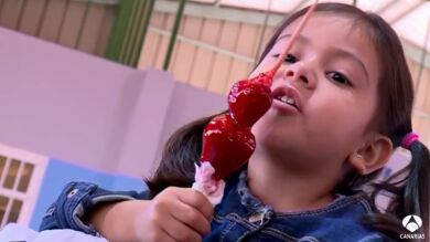 Valsequillo produce 2 millones de kilos de fresas al año