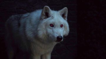 Fantasma, el lobo huargo de Jon Snow en 'Juego de Tronos'