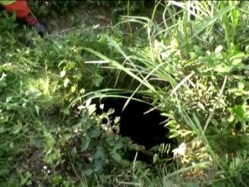 Angustioso rescate a una mujer en China que se cayó por un agujero oculto mientras recogía hojas de té Angustioso rescate a una mujer en China que se cayó por un agujero oculto mientras recogía hojas de té