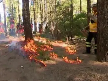 Formación para prevenir incendios forestales Formación para prevenir incendios forestales