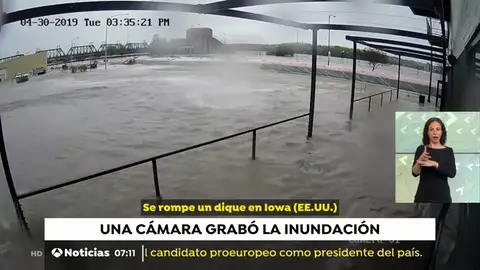 NUEVA DIQUE NUEVA DIQUE