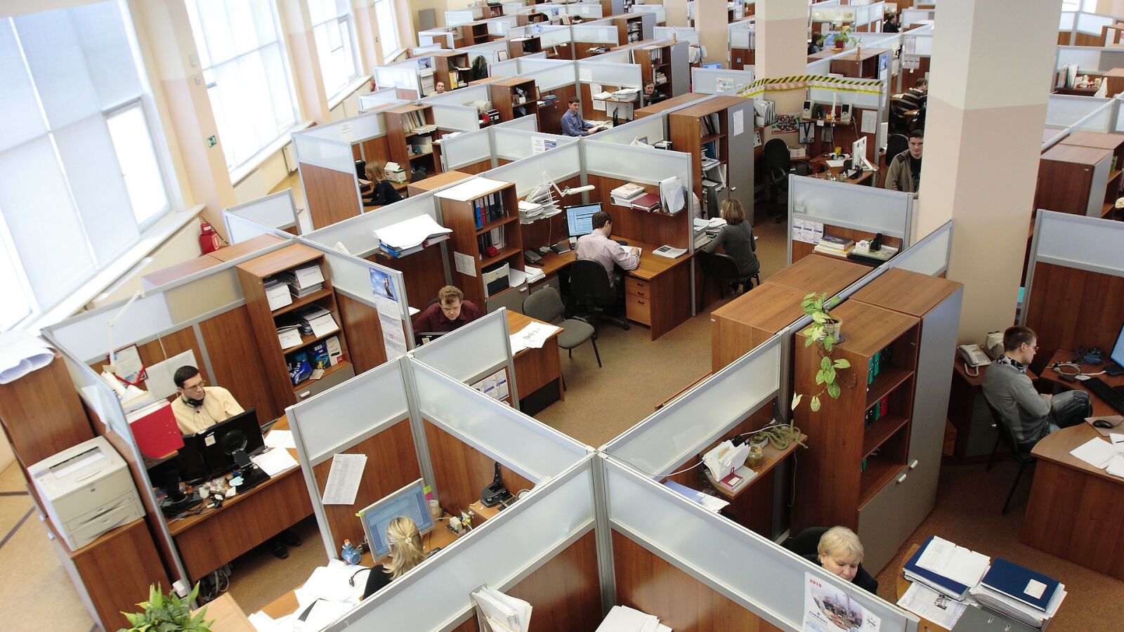 La OCDE recomienda cambios fiscales y reducir las diferencias en el mercado laboral