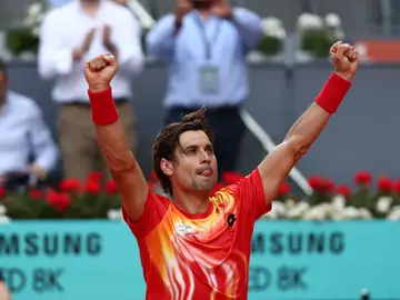 David Ferrer celebra su victoria contra Bautista David Ferrer celebra su victoria contra Bautista