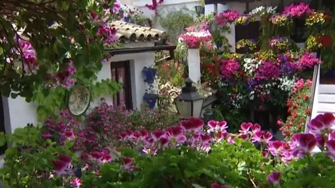 Arranca el concurso de los Patios de Córdoba 2019: localización de los recintos y las mejores rutas para recorrerlos Arranca el concurso de los Patios de Córdoba 2019: localización de los recintos y las mejores rutas para recorrerlos