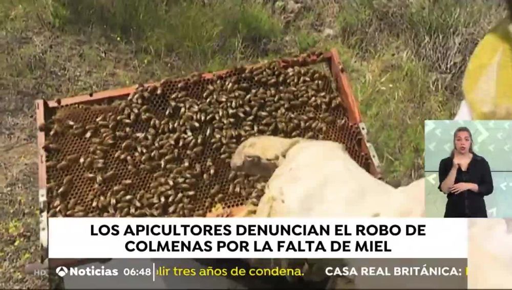 Crisis de la miel en Tenerife
