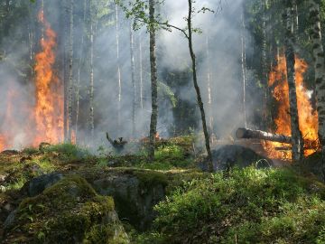 Imange de archivo de un incendio forestal. 