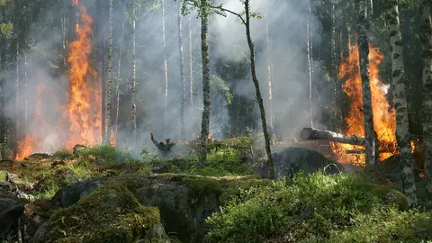 Imange de archivo de un incendio forestal. Un software calcula el impacto economico de los incendios forestales
