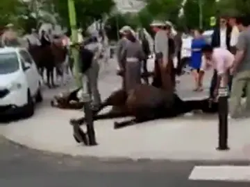 PACMA comparte una imágenes de un caballo sufriendo convulsiones durante la Feria de Sevilla PACMA comparte una imágenes de un caballo sufriendo convulsiones durante la Feria de Sevilla