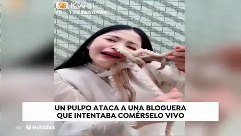 Un pulpo ataca a una youtuber cuando intentaba comérselo vivo en directo Un pulpo ataca a una youtuber cuando intentaba comérselo vivo en directo